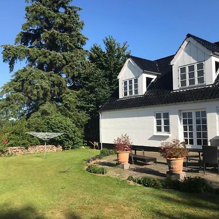 Pedersholt Bed & Breakfast Dybvad ภายนอก รูปภาพ
